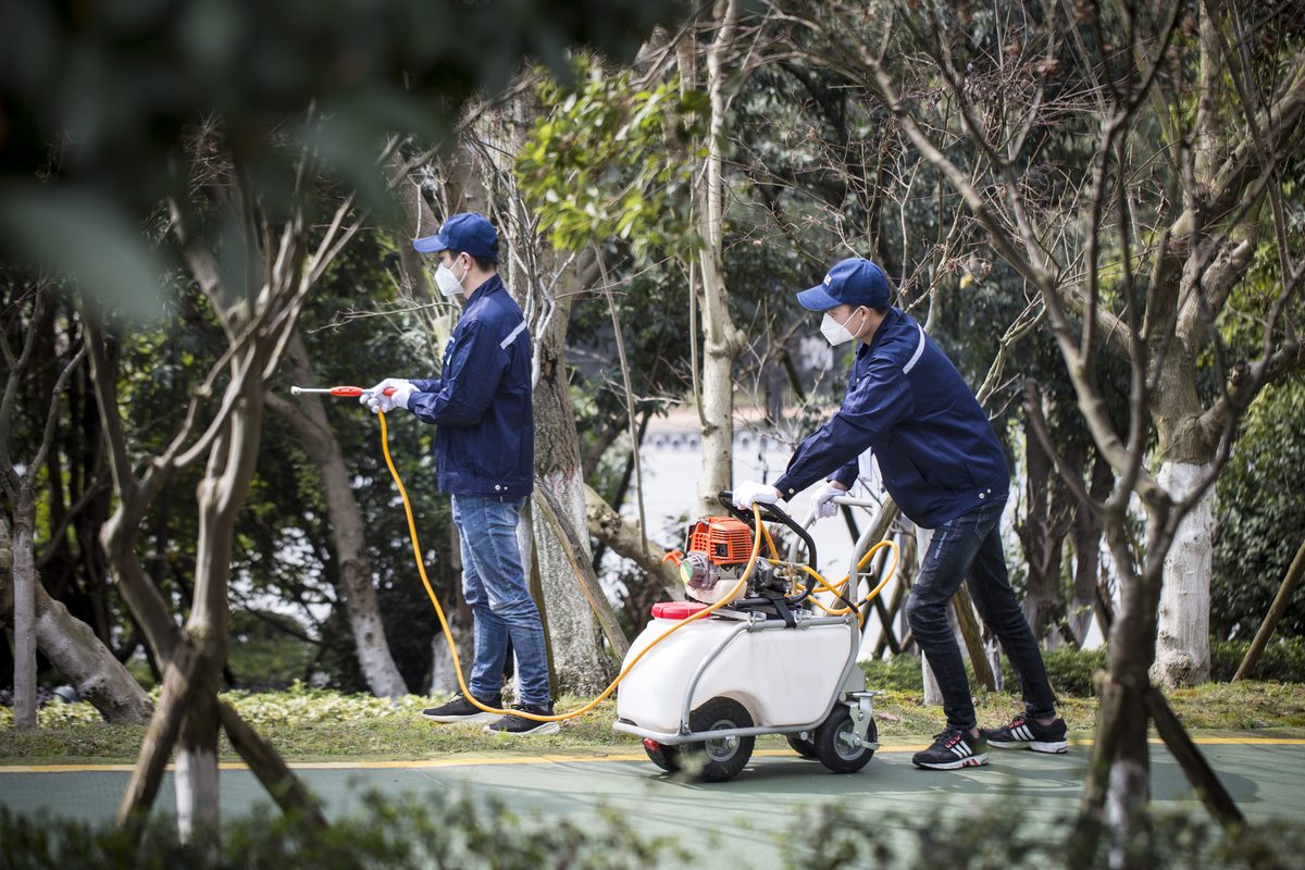 园林绿化树木病虫害喷药防治